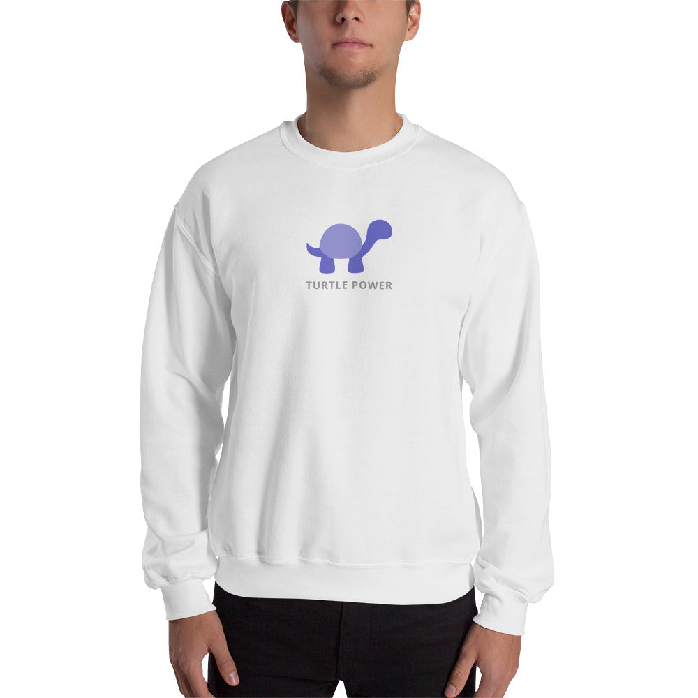 Turtle Power Sweatshirt